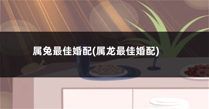 属兔最佳婚配(属龙最佳婚配)