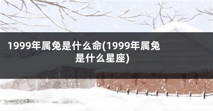1999年属兔是什么命(1999年属兔是什么星座)