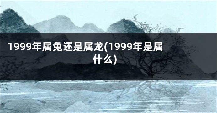 1999年属兔还是属龙(1999年是属什么)
