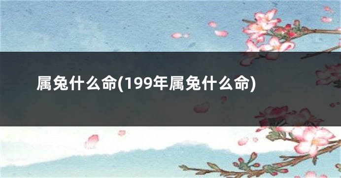 属兔什么命(199年属兔什么命)