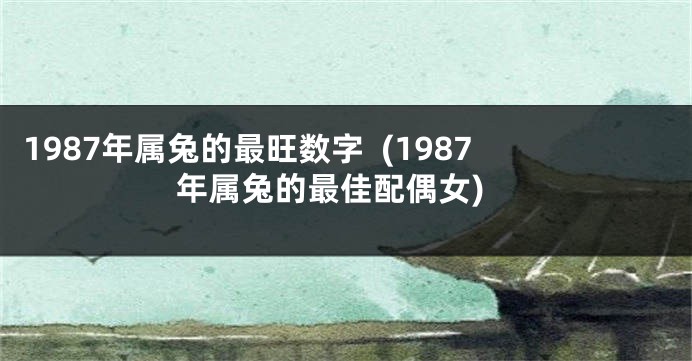 1987年属兔的最旺数字  (1987年属兔的最佳配偶女)