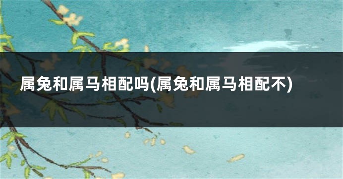 属兔和属马相配吗(属兔和属马相配不)