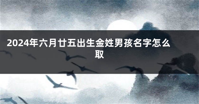 2024年六月廿五出生金姓男孩名字怎么取