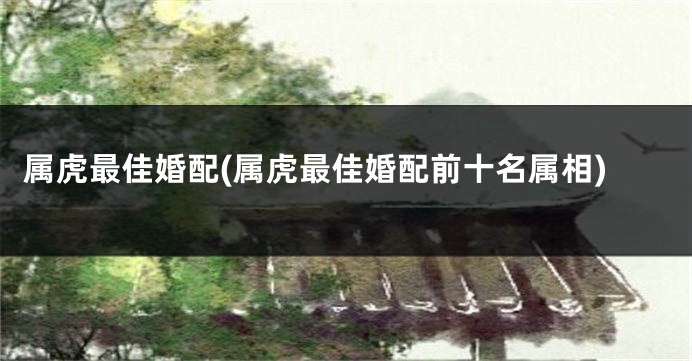 属虎最佳婚配(属虎最佳婚配前十名属相)