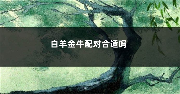 白羊金牛配对合适吗