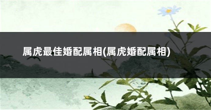 属虎最佳婚配属相(属虎婚配属相)