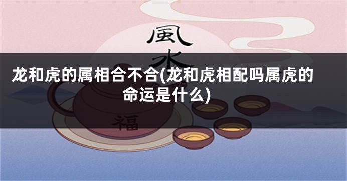 龙和虎的属相合不合(龙和虎相配吗属虎的命运是什么)