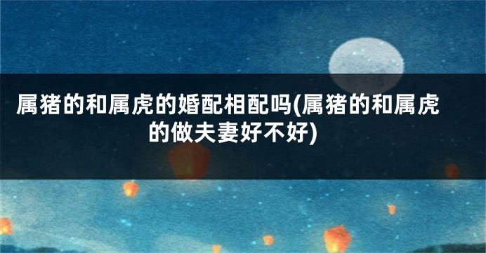 属猪的和属虎的婚配相配吗(属猪的和属虎的做夫妻好不好)