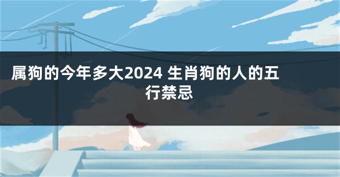 属狗的今年多大2024 生肖狗的人的五行禁忌