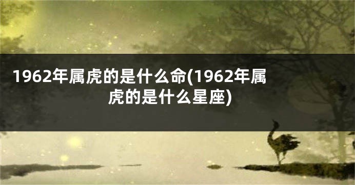1962年属虎的是什么命(1962年属虎的是什么星座)