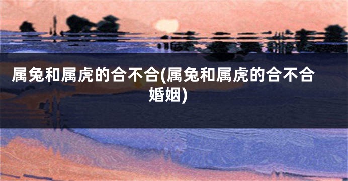 属兔和属虎的合不合(属兔和属虎的合不合婚姻)