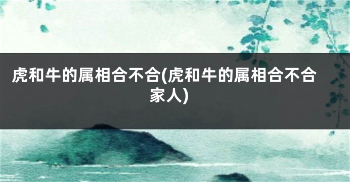 虎和牛的属相合不合(虎和牛的属相合不合家人)