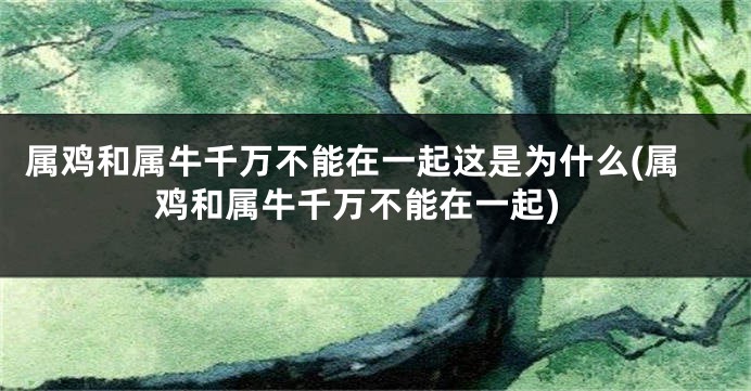 属鸡和属牛千万不能在一起这是为什么(属鸡和属牛千万不能在一起)