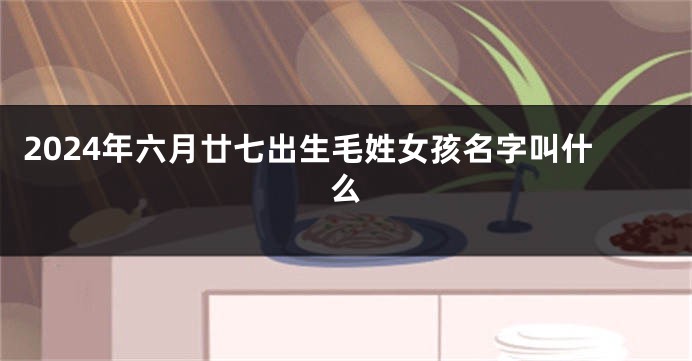 2024年六月廿七出生毛姓女孩名字叫什么