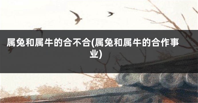 属兔和属牛的合不合(属兔和属牛的合作事业)