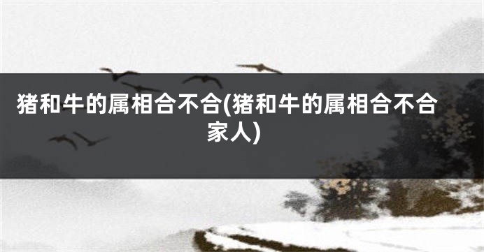 猪和牛的属相合不合(猪和牛的属相合不合家人)