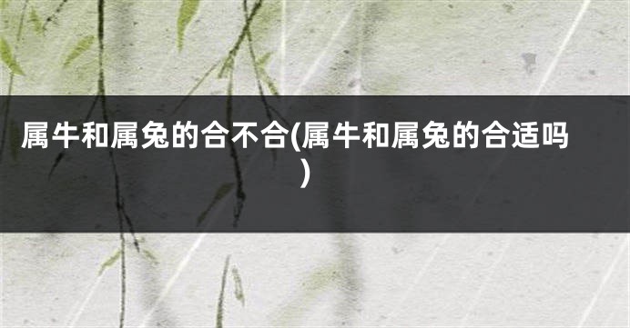 属牛和属兔的合不合(属牛和属兔的合适吗)
