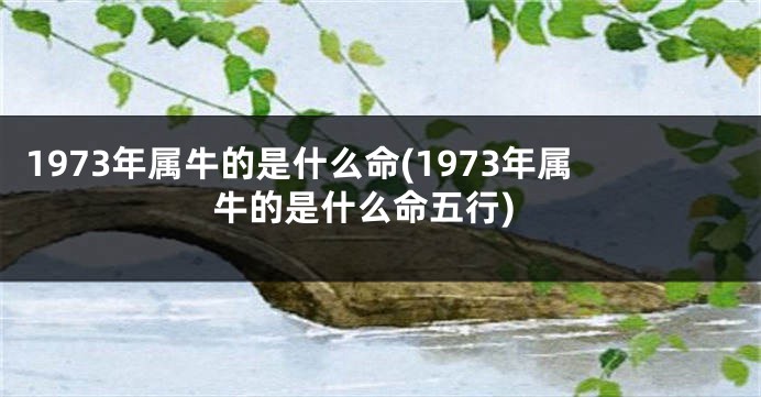 1973年属牛的是什么命(1973年属牛的是什么命五行)