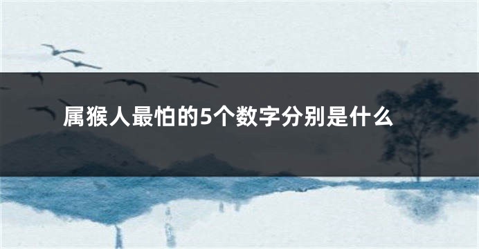 属猴人最怕的5个数字分别是什么