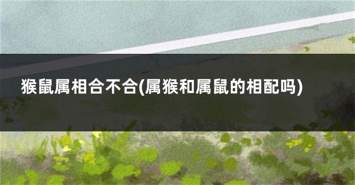 猴鼠属相合不合(属猴和属鼠的相配吗)