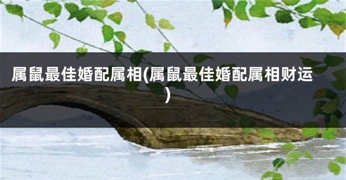 属鼠最佳婚配属相(属鼠最佳婚配属相财运)