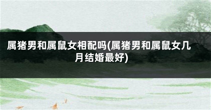 属猪男和属鼠女相配吗(属猪男和属鼠女几月结婚最好)