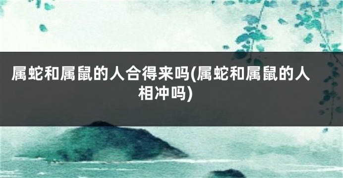 属蛇和属鼠的人合得来吗(属蛇和属鼠的人相冲吗)