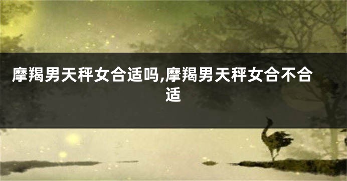 摩羯男天秤女合适吗,摩羯男天秤女合不合适