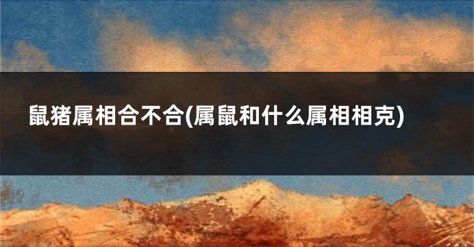 鼠猪属相合不合(属鼠和什么属相相克)