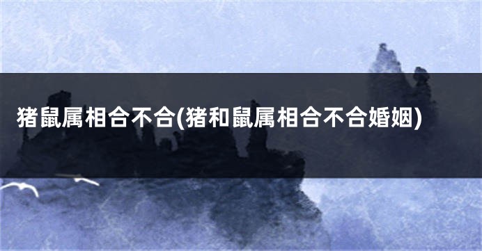 猪鼠属相合不合(猪和鼠属相合不合婚姻)