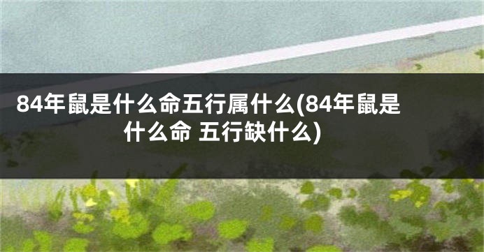 84年鼠是什么命五行属什么(84年鼠是什么命 五行缺什么)