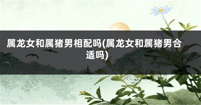 属龙女和属猪男相配吗(属龙女和属猪男合适吗)