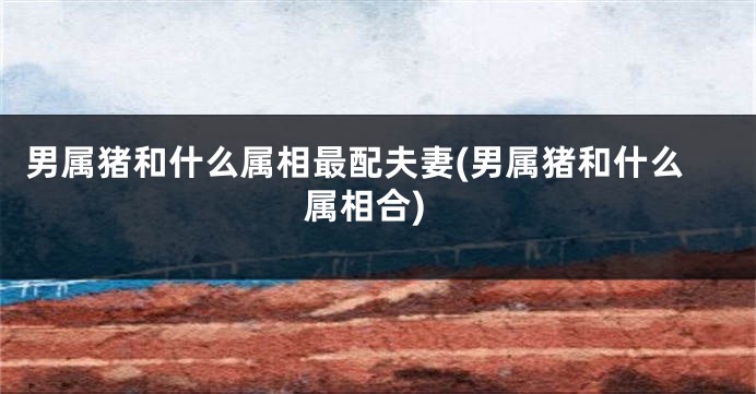 男属猪和什么属相最配夫妻(男属猪和什么属相合)