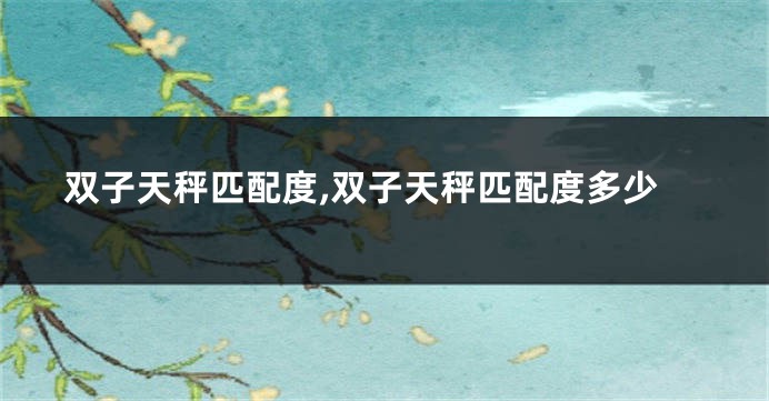 双子天秤匹配度,双子天秤匹配度多少