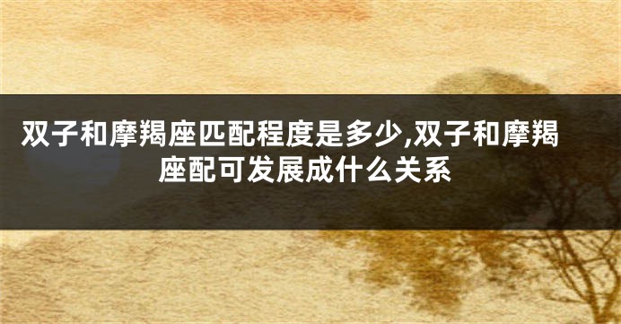双子和摩羯座匹配程度是多少,双子和摩羯座配可发展成什么关系