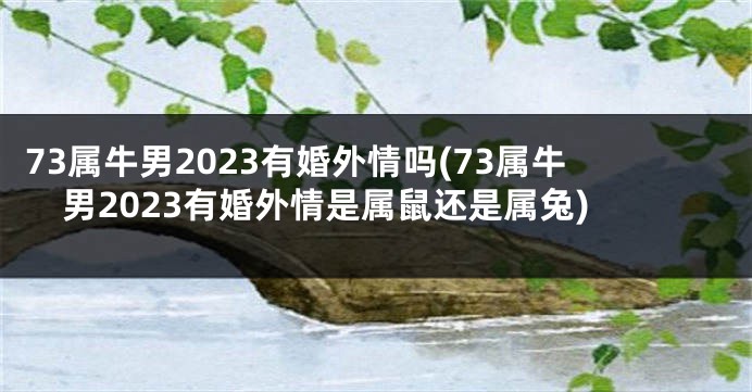73属牛男2023有婚外情吗(73属牛男2023有婚外情是属鼠还是属兔)