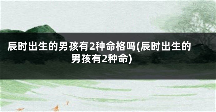 辰时出生的男孩有2种命格吗(辰时出生的男孩有2种命)