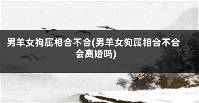 男羊女狗属相合不合(男羊女狗属相合不合会离婚吗)