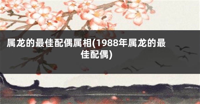 属龙的最佳配偶属相(1988年属龙的最佳配偶)