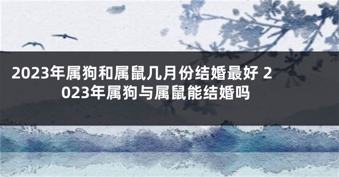 2023年属狗和属鼠几月份结婚最好 2023年属狗与属鼠能结婚吗