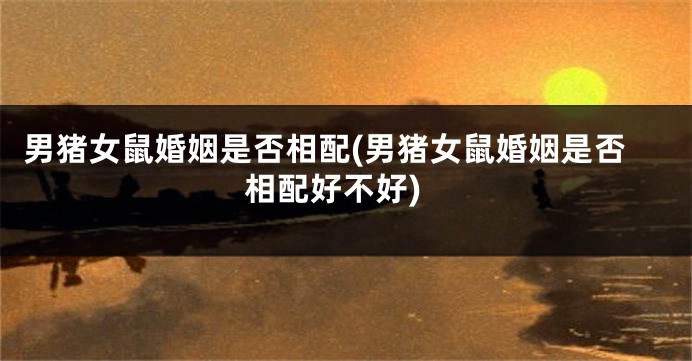 男猪女鼠婚姻是否相配(男猪女鼠婚姻是否相配好不好)