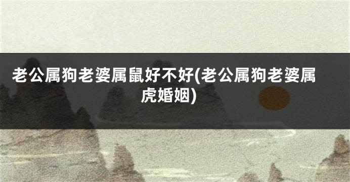 老公属狗老婆属鼠好不好(老公属狗老婆属虎婚姻)