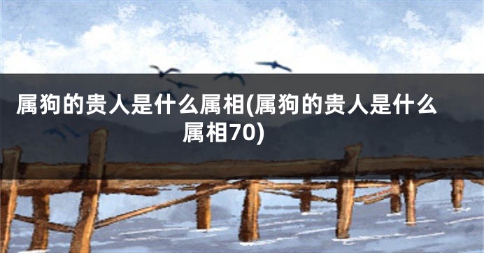 属狗的贵人是什么属相(属狗的贵人是什么属相70)
