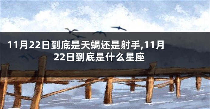 11月22日到底是天蝎还是射手,11月22日到底是什么星座
