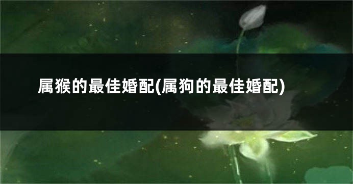 属猴的最佳婚配(属狗的最佳婚配)