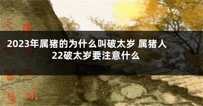 2023年属猪的为什么叫破太岁 属猪人22破太岁要注意什么