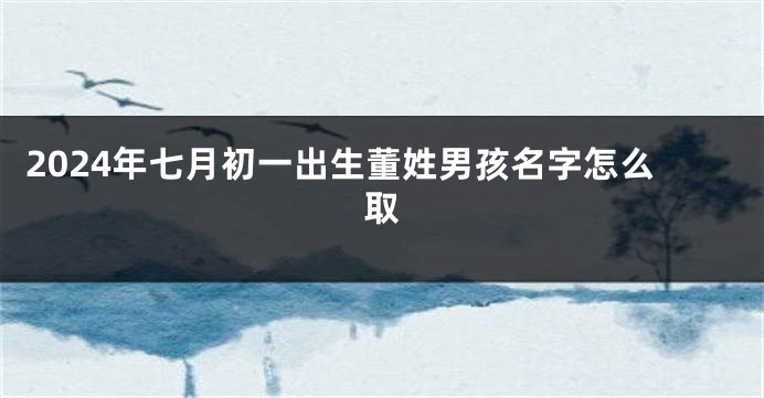 2024年七月初一出生董姓男孩名字怎么取