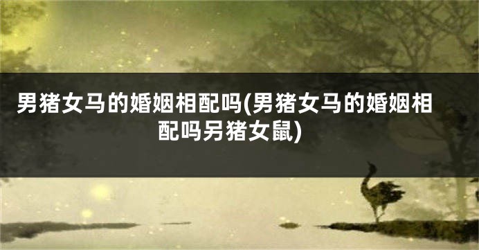 男猪女马的婚姻相配吗(男猪女马的婚姻相配吗另猪女鼠)