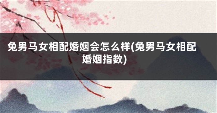 兔男马女相配婚姻会怎么样(兔男马女相配婚姻指数)