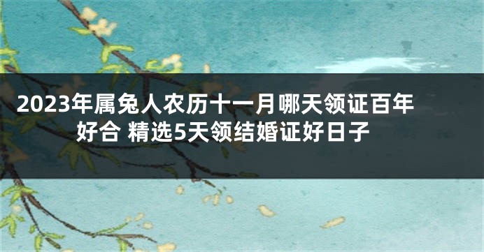 2023年属兔人农历十一月哪天领证百年好合 精选5天领结婚证好日子